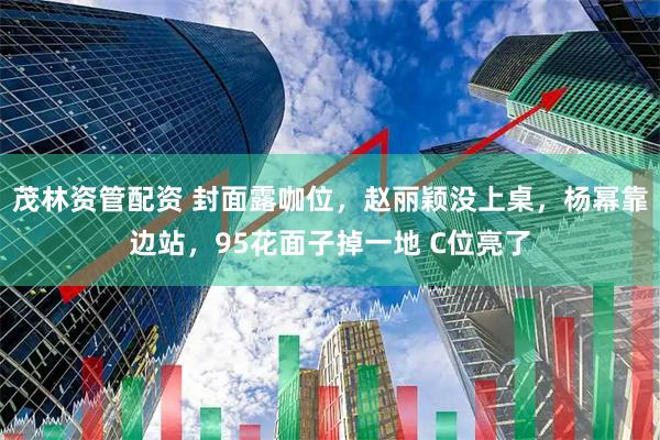 茂林资管配资 封面露咖位，赵丽颖没上桌，杨幂靠边站，95花面子掉一地 C位亮了