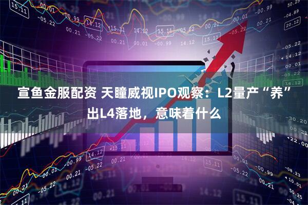 宣鱼金服配资 天瞳威视IPO观察：L2量产“养”出L4落地，意味着什么
