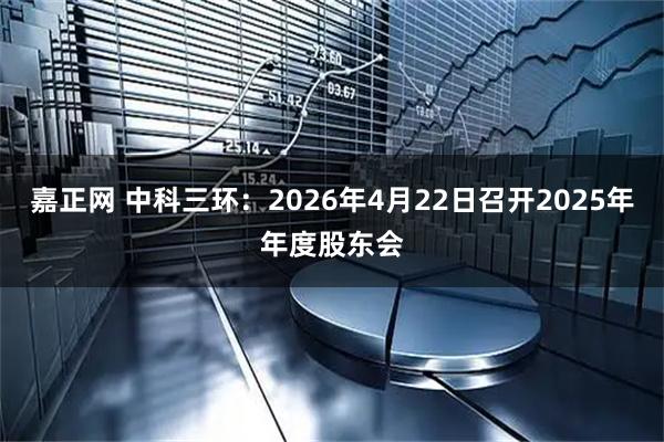 嘉正网 中科三环：2026年4月22日召开2025年年度股东会