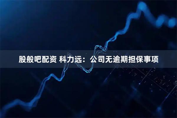 股般吧配资 科力远：公司无逾期担保事项